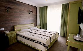 Pensiunea Casa Doamnei Voronet